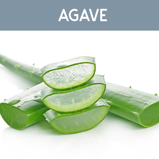 Agave Wax Melt