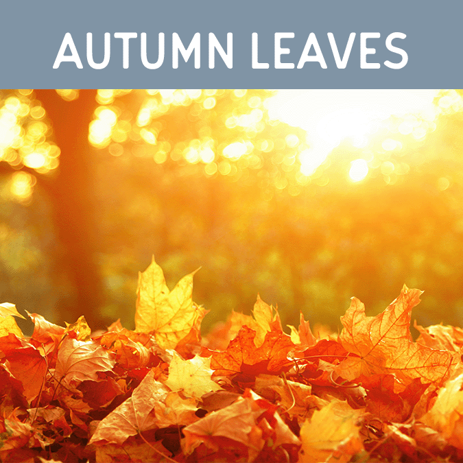 Autumn Leaves Wax Melt - Auburn Candle Company