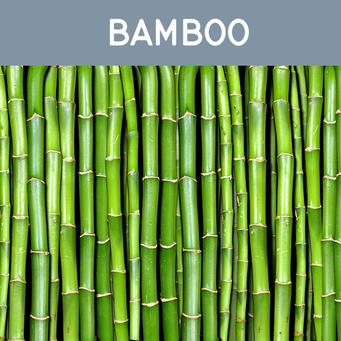 Bamboo Candle - Auburn Candle Company