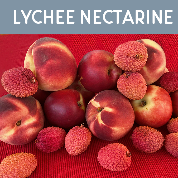 Lychee Nectarine Wax Melt - Auburn Candle Company