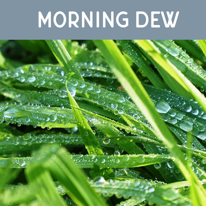 Morning Dew Candle - Auburn Candle Company