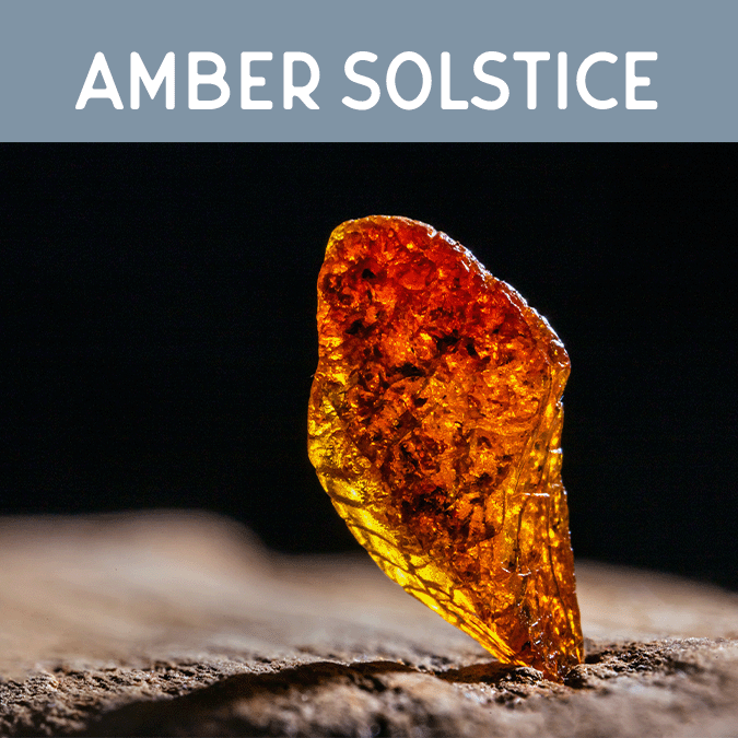 Amber Solstice Candle | Auburn Candle Company