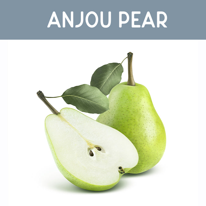 Anjou Pear Wax Melt - Auburn Candle Company