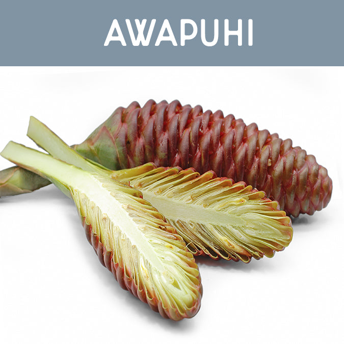 Awapuhi Wax Melt - Auburn Candle Company