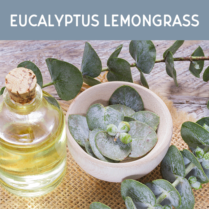 Eucalyptus Lemongrass Reed Diffuser