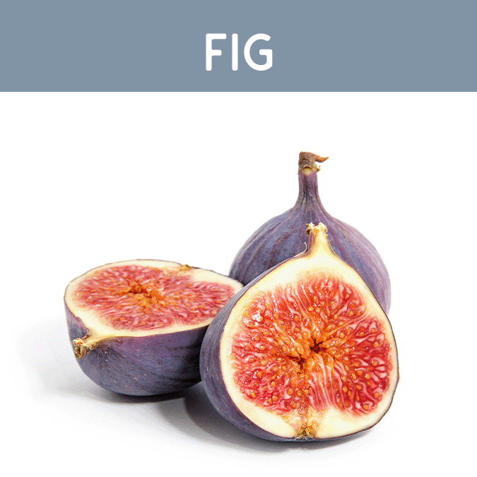 Fig Wax Melt
