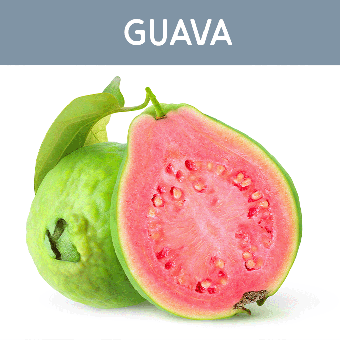 Guava Wax Melt - Auburn Candle Company