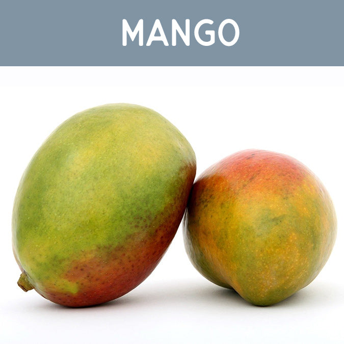 Mango Wax Melt - Auburn Candle Company