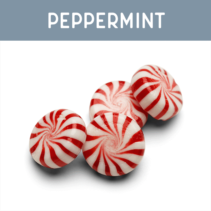 Peppermint Wax Melt - Auburn Candle Company