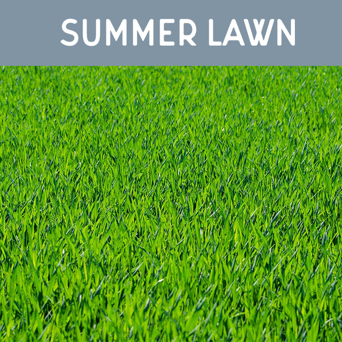 Summer Lawn Candle - Auburn Candle Company