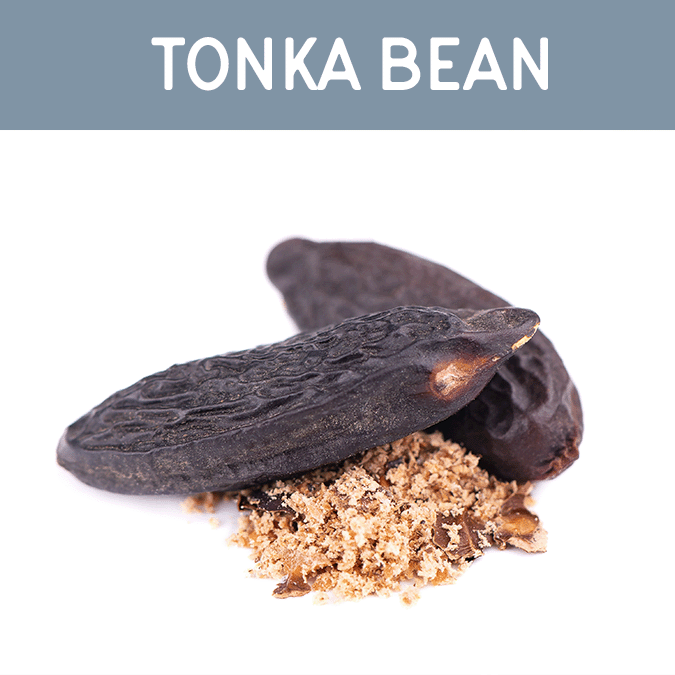 Tonka Bean Wax Melt - Auburn Candle Company