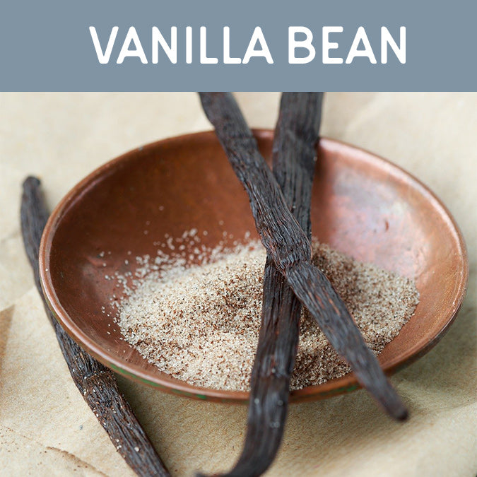 Vanilla Bean Candle - Auburn Candle Company