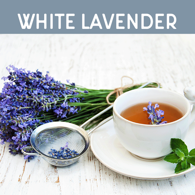 White Lavender Candle